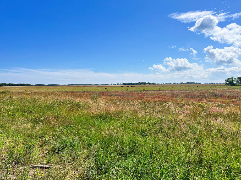 24-07-01 11-02-50 0049